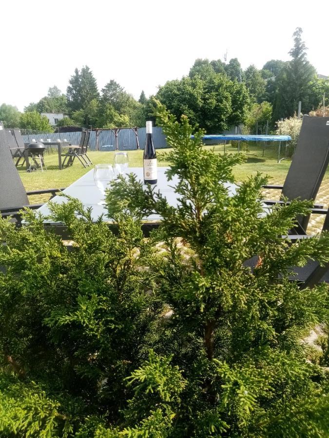 Apartmány Kohoutek a Slepička v Novohradských horách Nové Hrady Exterior foto